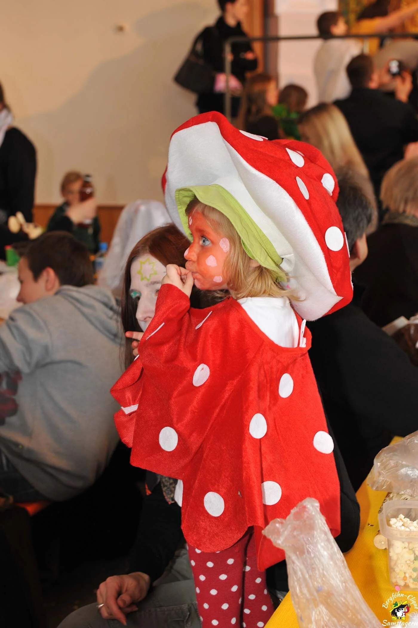 Kinderfasnacht_2012_276.jpg