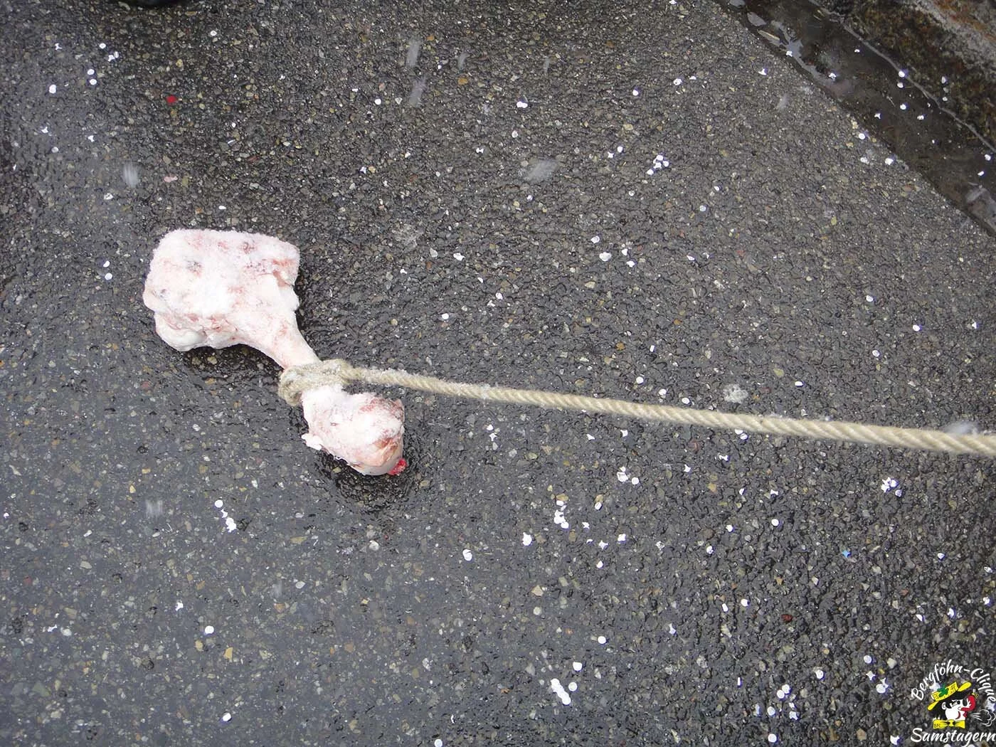 Umzug_Baar_2012_011.jpg