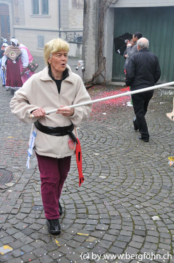 umzug_rapperswil_2011_026.jpg