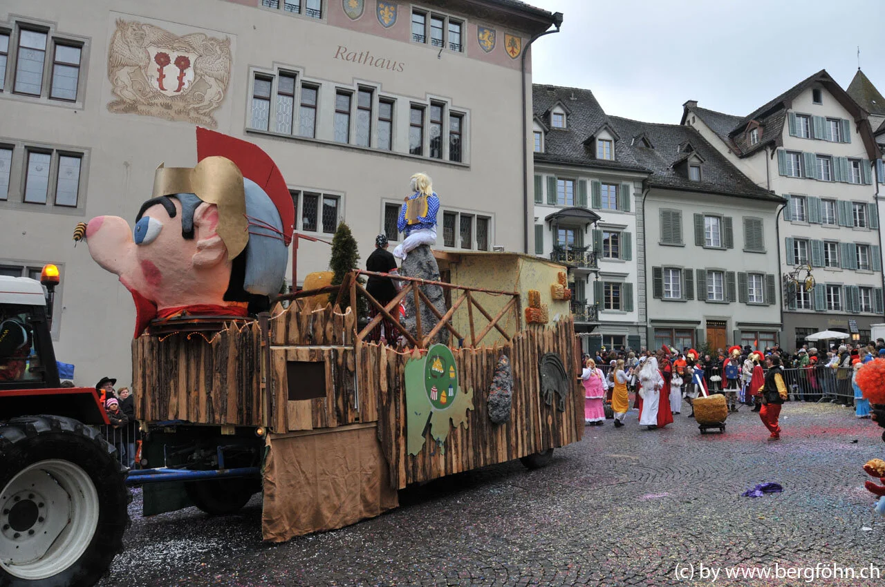 umzug_rapperswil_2011_038.jpg