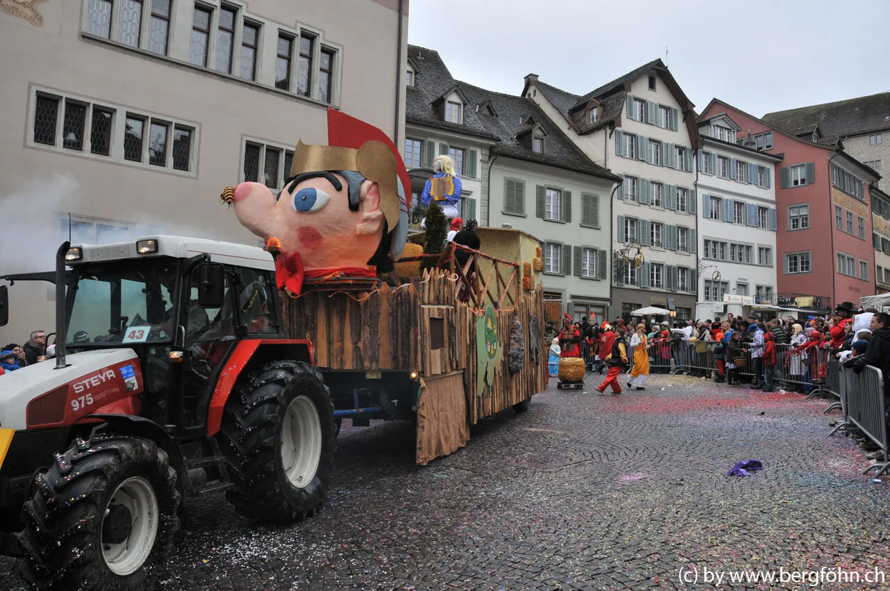 umzug_rapperswil_2011_036.jpg