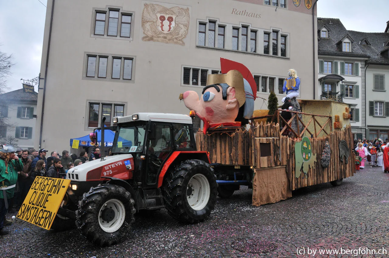 umzug_rapperswil_2011_037.jpg