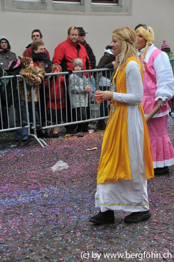 umzug_rapperswil_2011_042.jpg