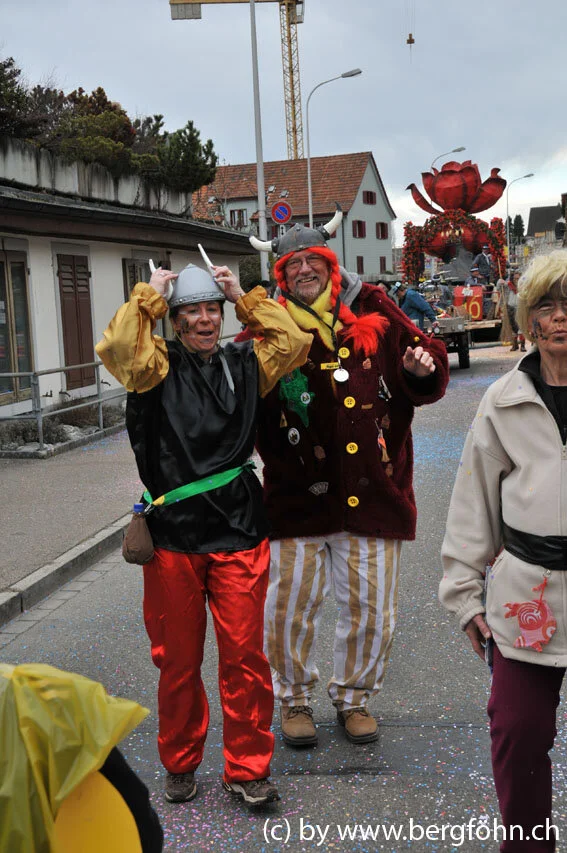 umzug_horgen_2011_025.jpg
