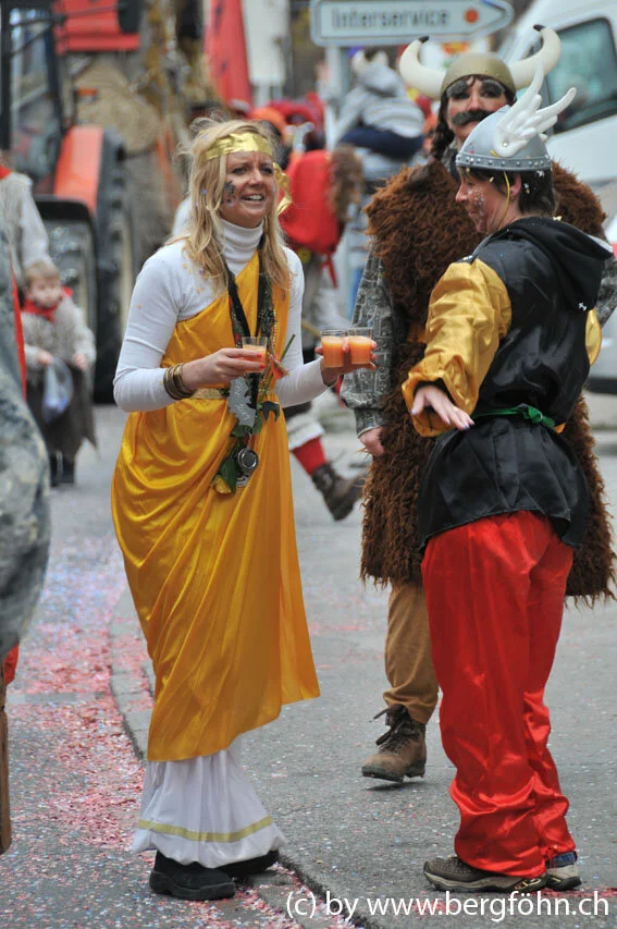 umzug_horgen_2011_029.jpg