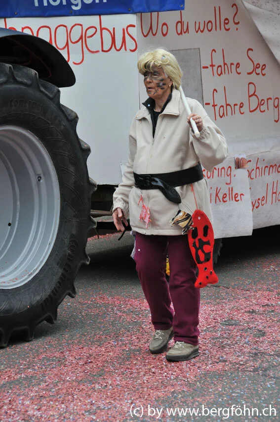 umzug_horgen_2011_031.jpg
