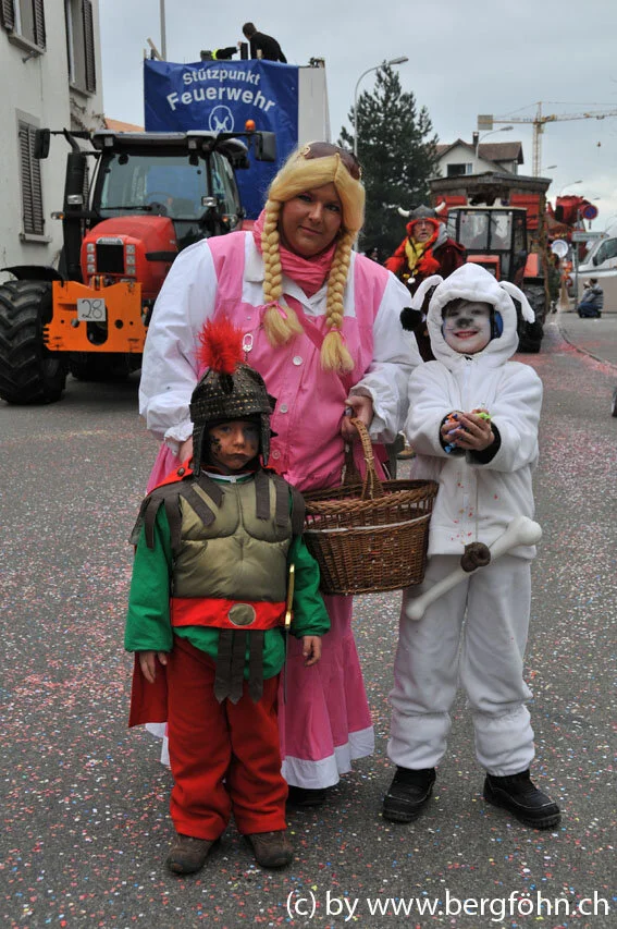umzug_horgen_2011_036.jpg