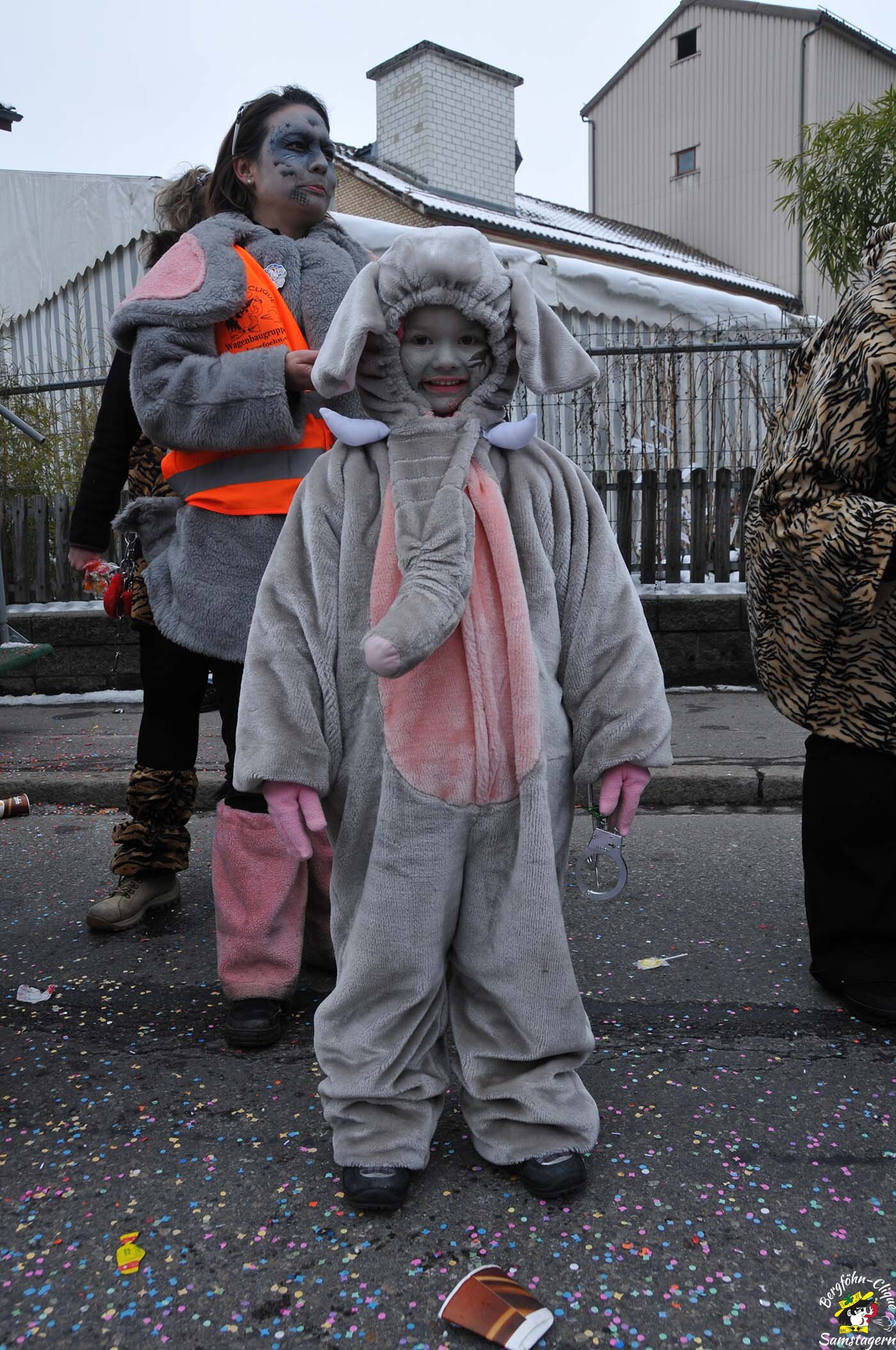 Fasnachtsumzug_Baar_14.2.2010_094.jpg