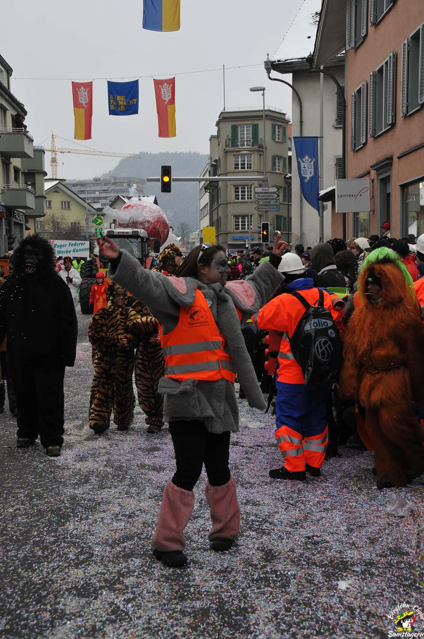 Fasnachtsumzug_Baar_14.2.2010_126.jpg
