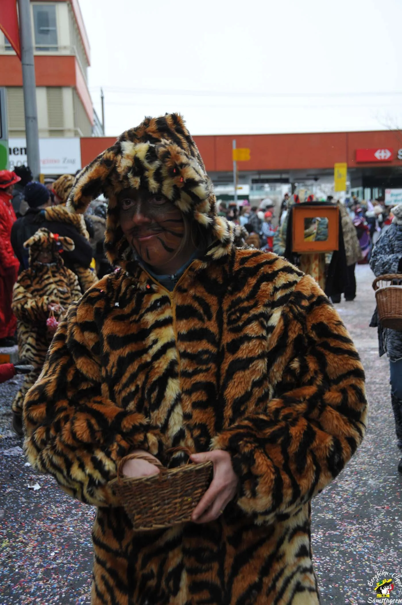 Fasnachtsumzug_Baar_14.2.2010_167.jpg
