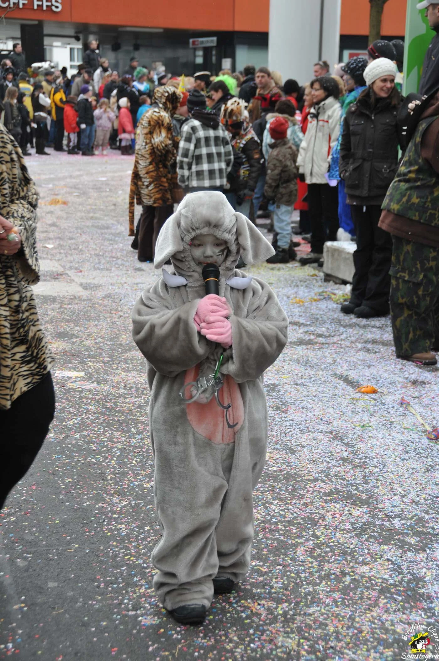 Fasnachtsumzug_Baar_14.2.2010_176.jpg