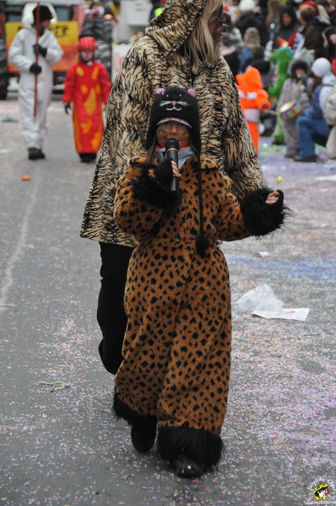 Fasnachtsumzug_Baar_14.2.2010_180.jpg