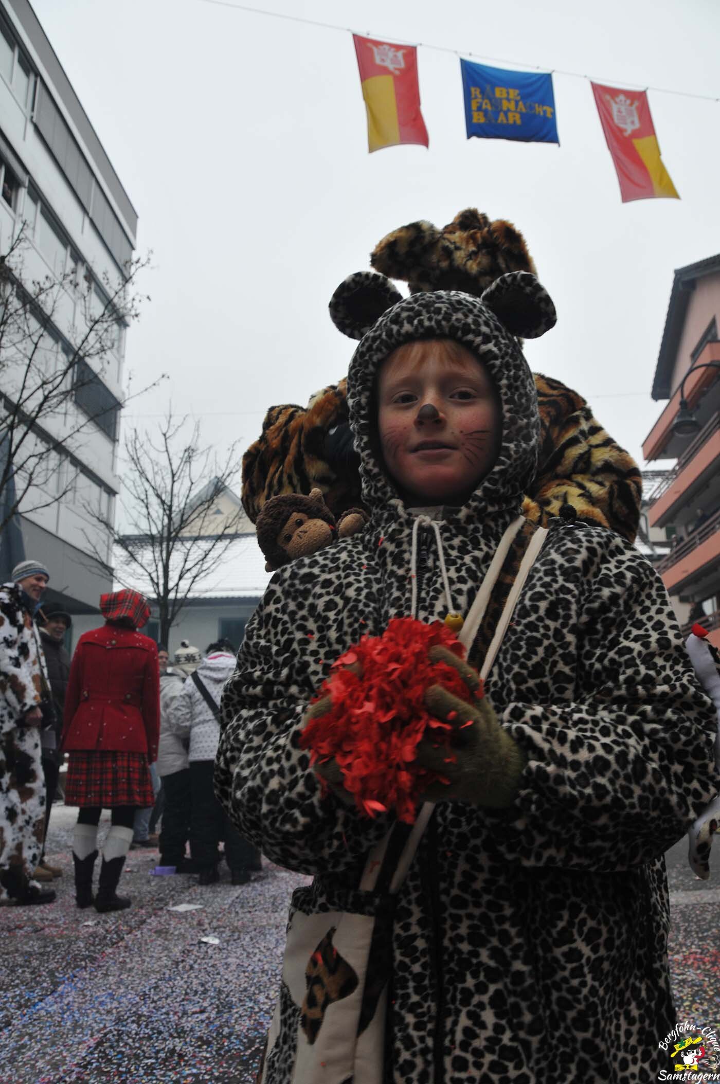 Fasnachtsumzug_Baar_14.2.2010_199.jpg