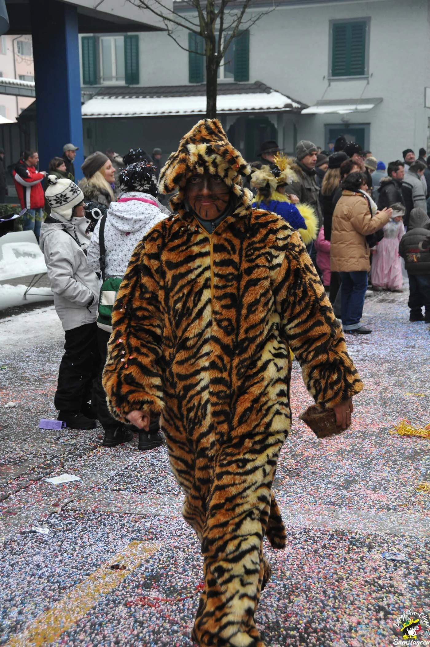 Fasnachtsumzug_Baar_14.2.2010_207.jpg