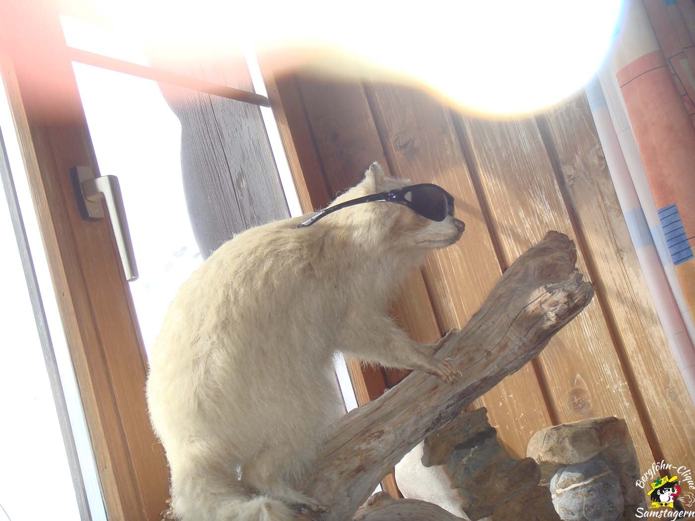 Skiweekend_2009_083.jpg