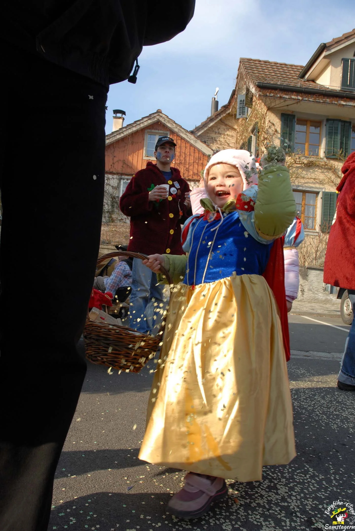 Fasnachtsumzug_Richterswil_2008_06.jpg