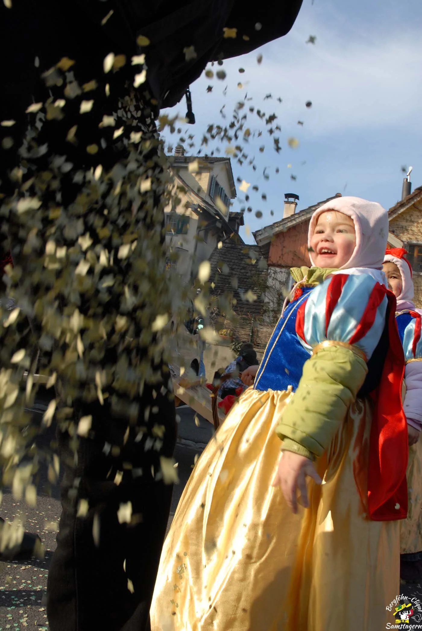 Fasnachtsumzug_Richterswil_2008_09.jpg