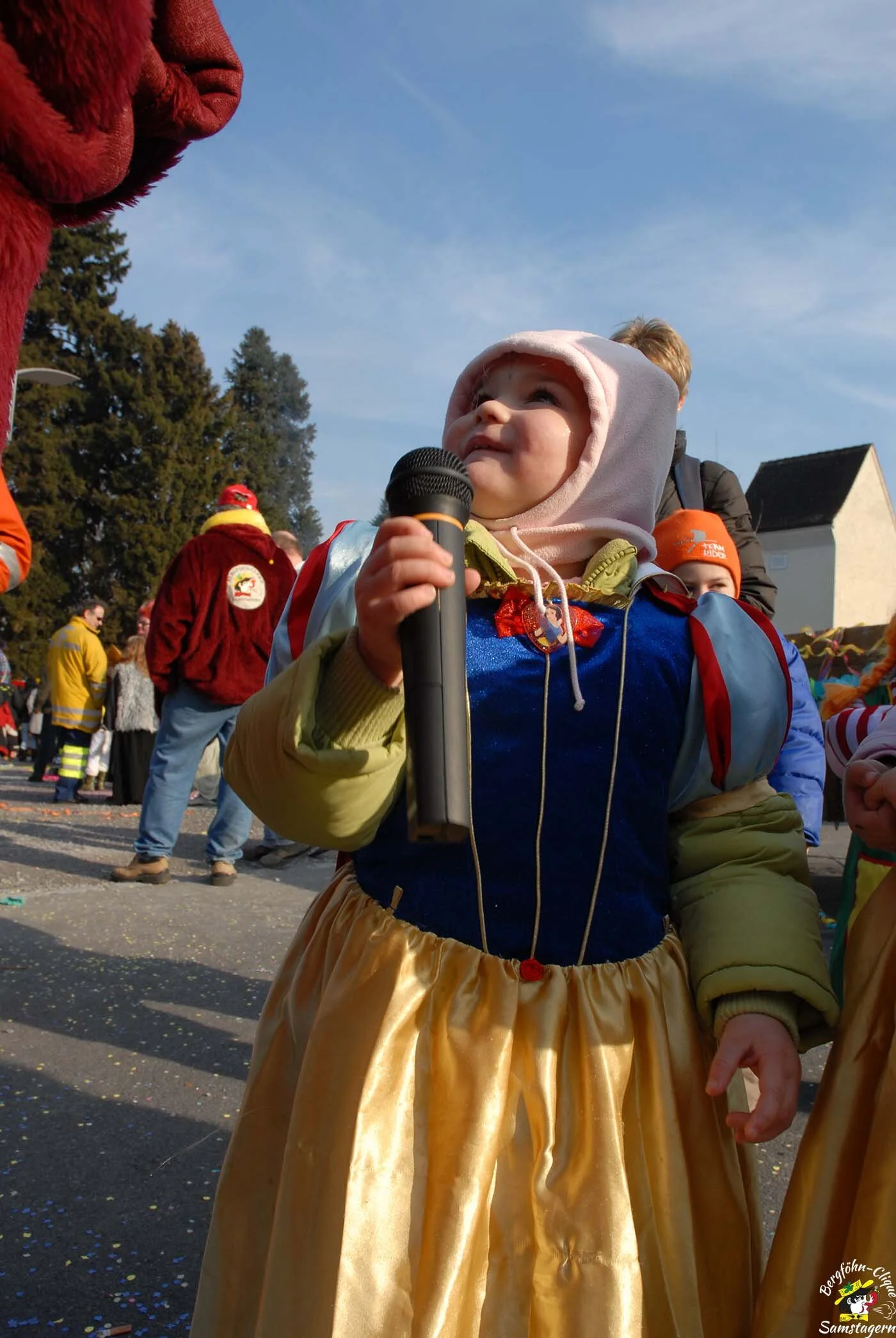 Fasnachtsumzug_Richterswil_2008_67.jpg
