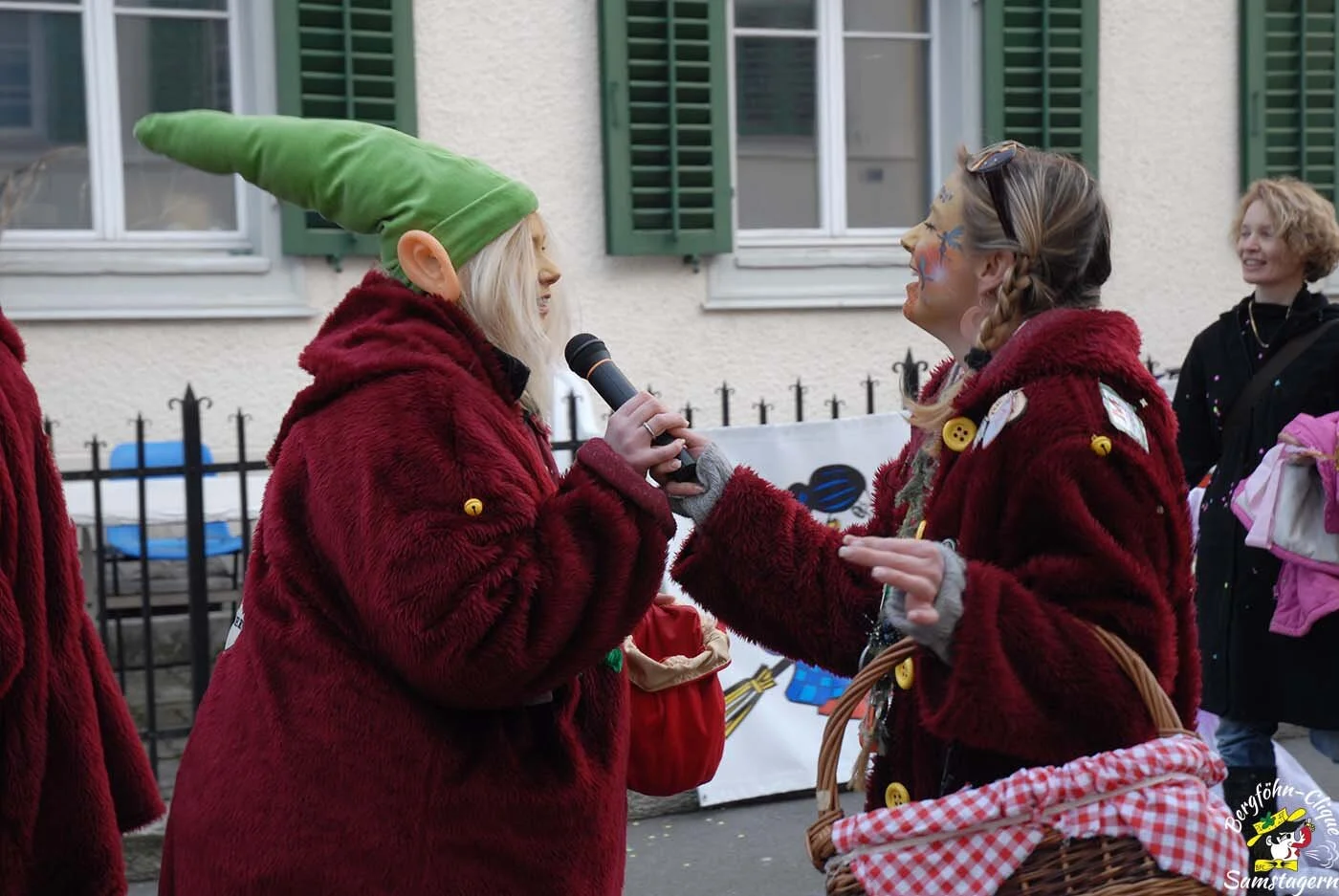Fasnachtsumzug_Richterswil_2008_84.jpg