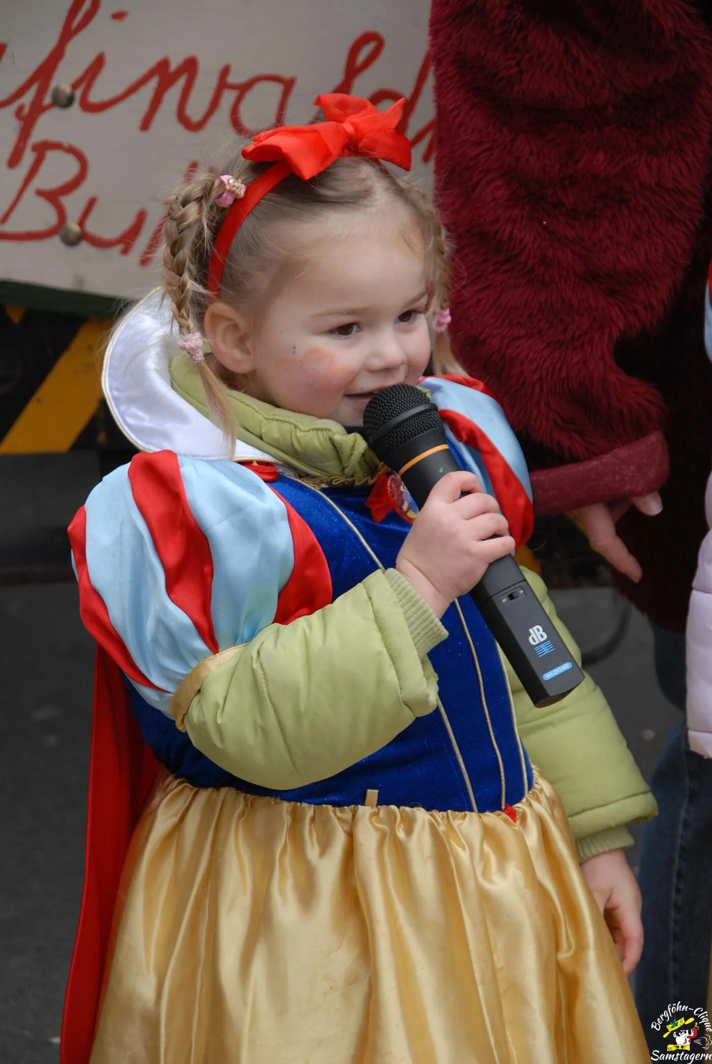 Fasnachtsumzug_Rapperswil_2008_20.jpg