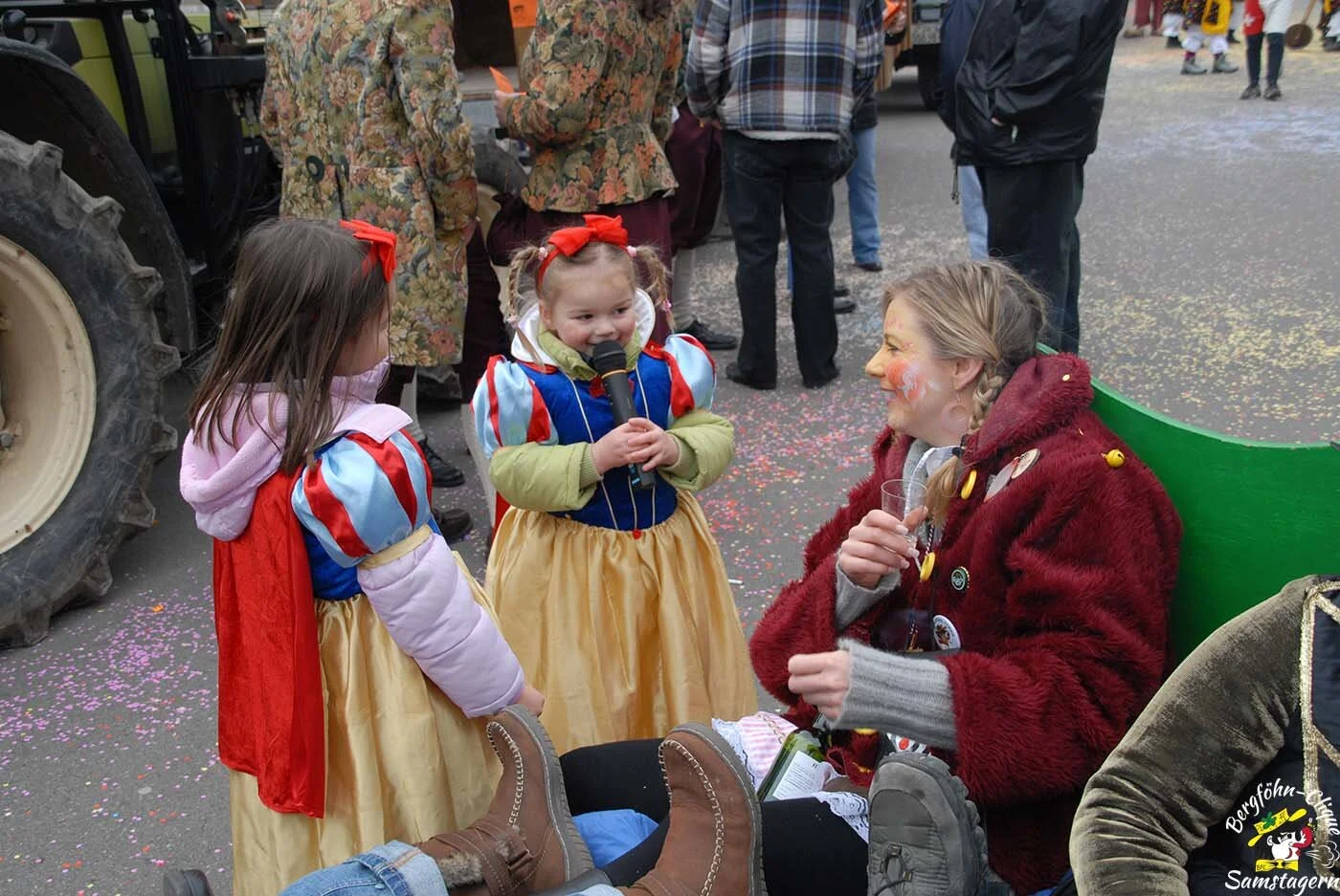 Fasnachtsumzug_Rapperswil_2008_46.jpg