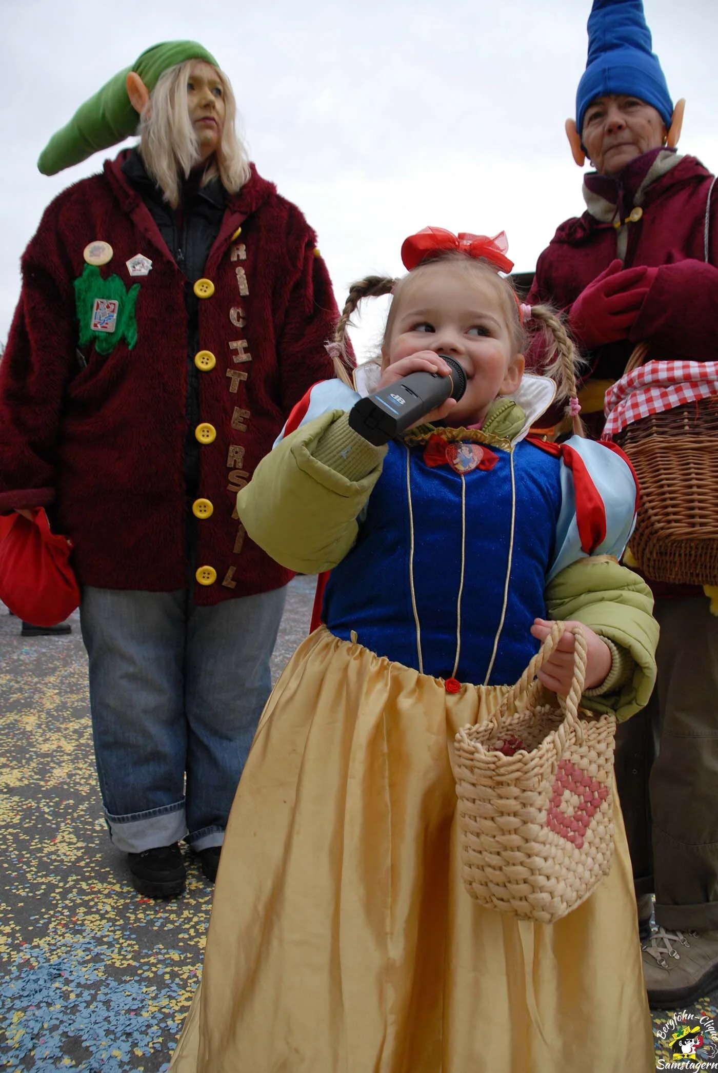 Fasnachtsumzug_Rapperswil_2008_127.jpg