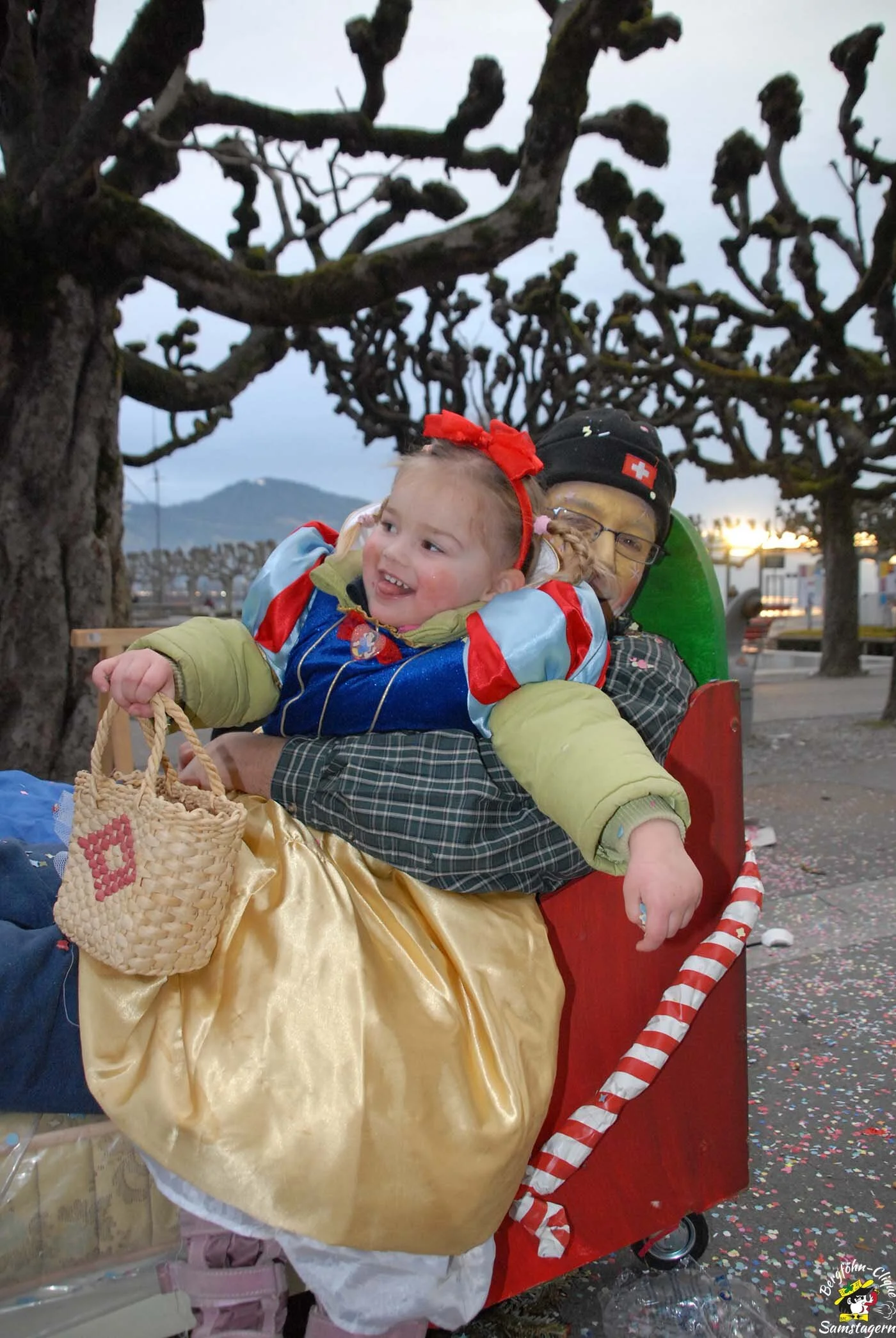 Fasnachtsumzug_Rapperswil_2008_326.jpg