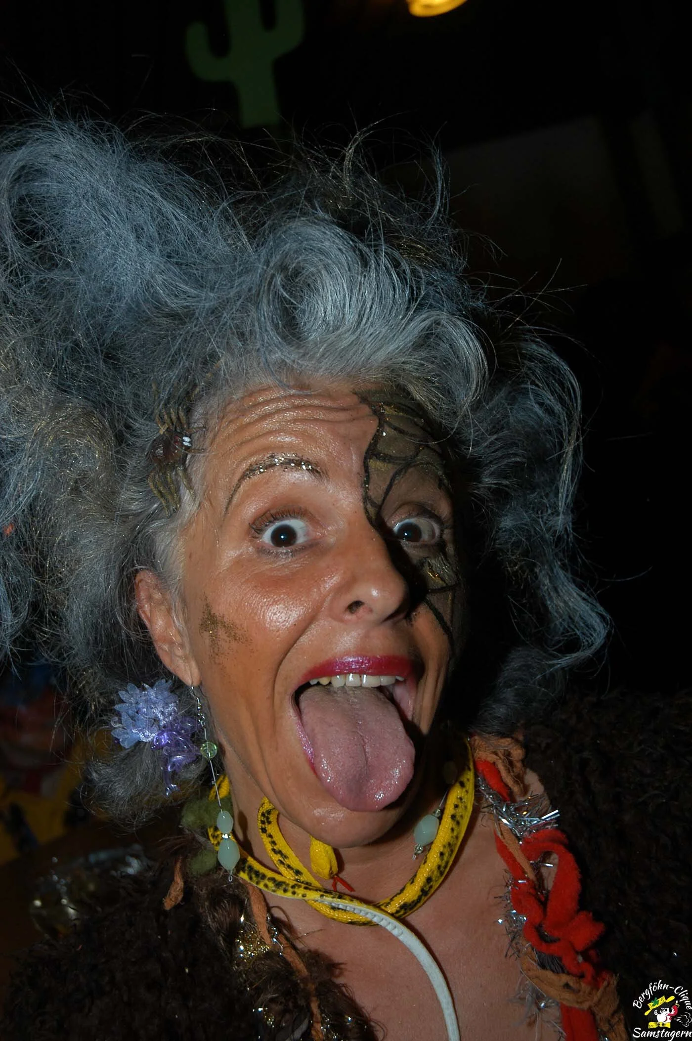 Fasnachtsumzug_Bergfasnacht_2007_87.jpg