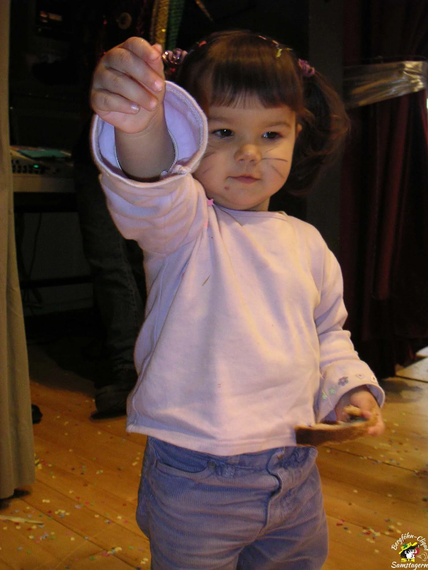  MINOLTA DIGITAL CAMERA 
