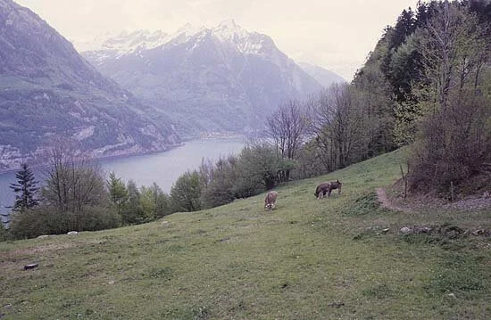 8.5.88_014.jpg