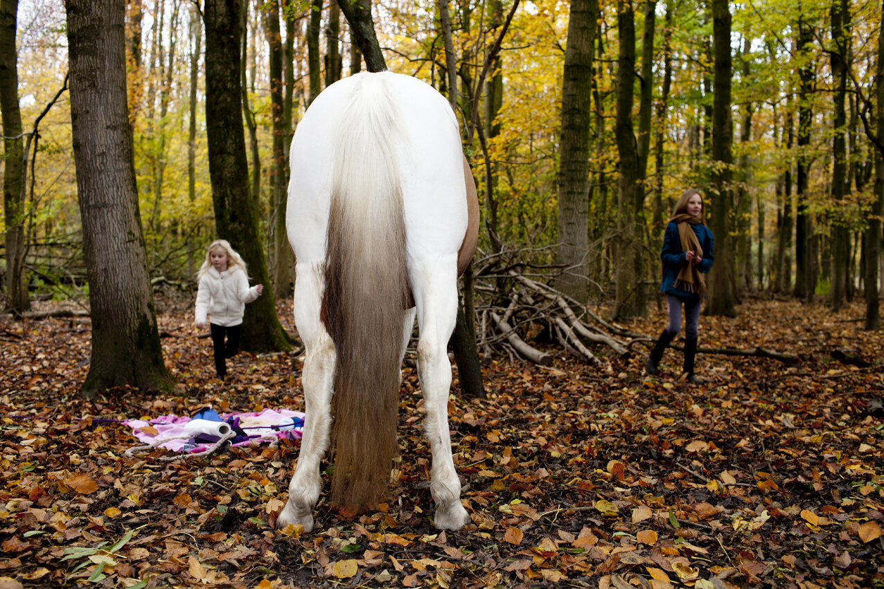MLP_30x45_08.jpg