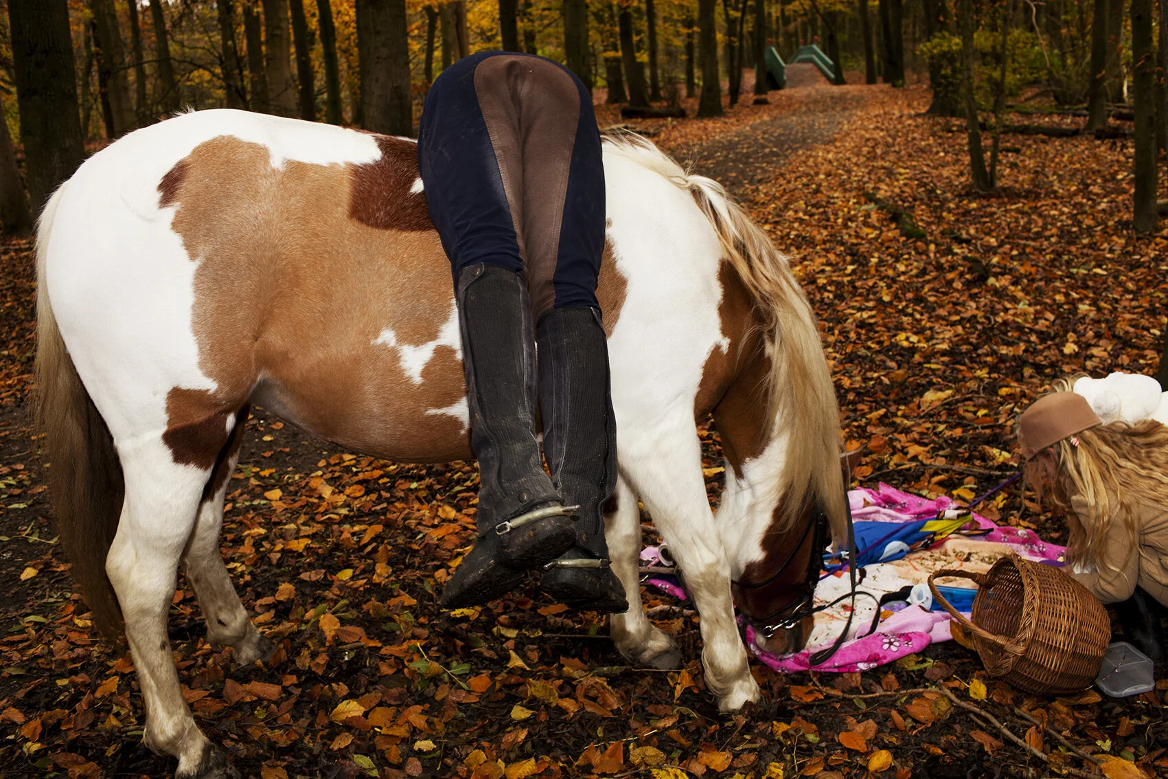 MLP_30x45_12.jpg
