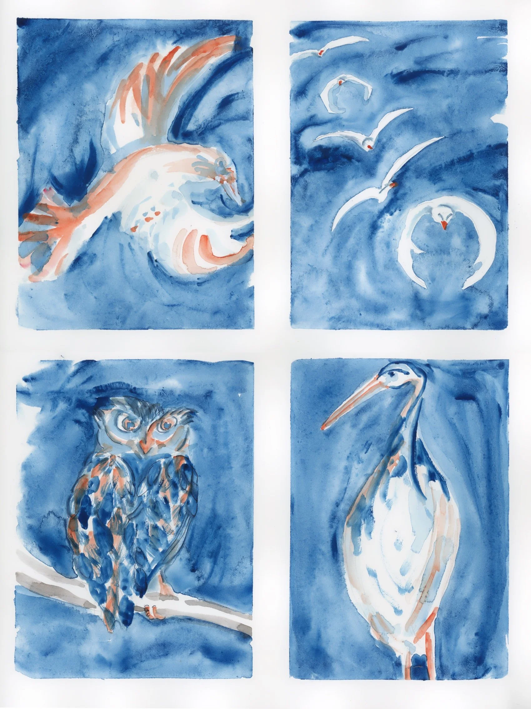 Birds1through4_0002 2.jpg