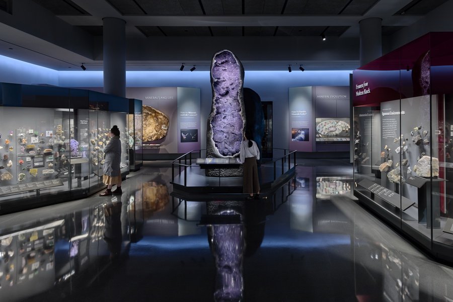 In Photos: See the American Museum of National History's Hall of