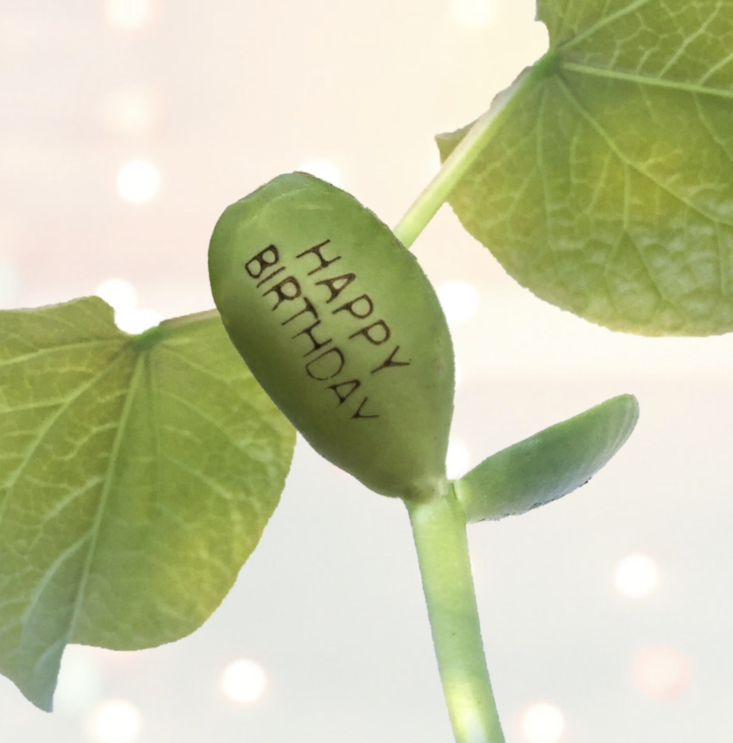 B0FA474E-C6B9-4AF4-926B-C88F54C227DD.png