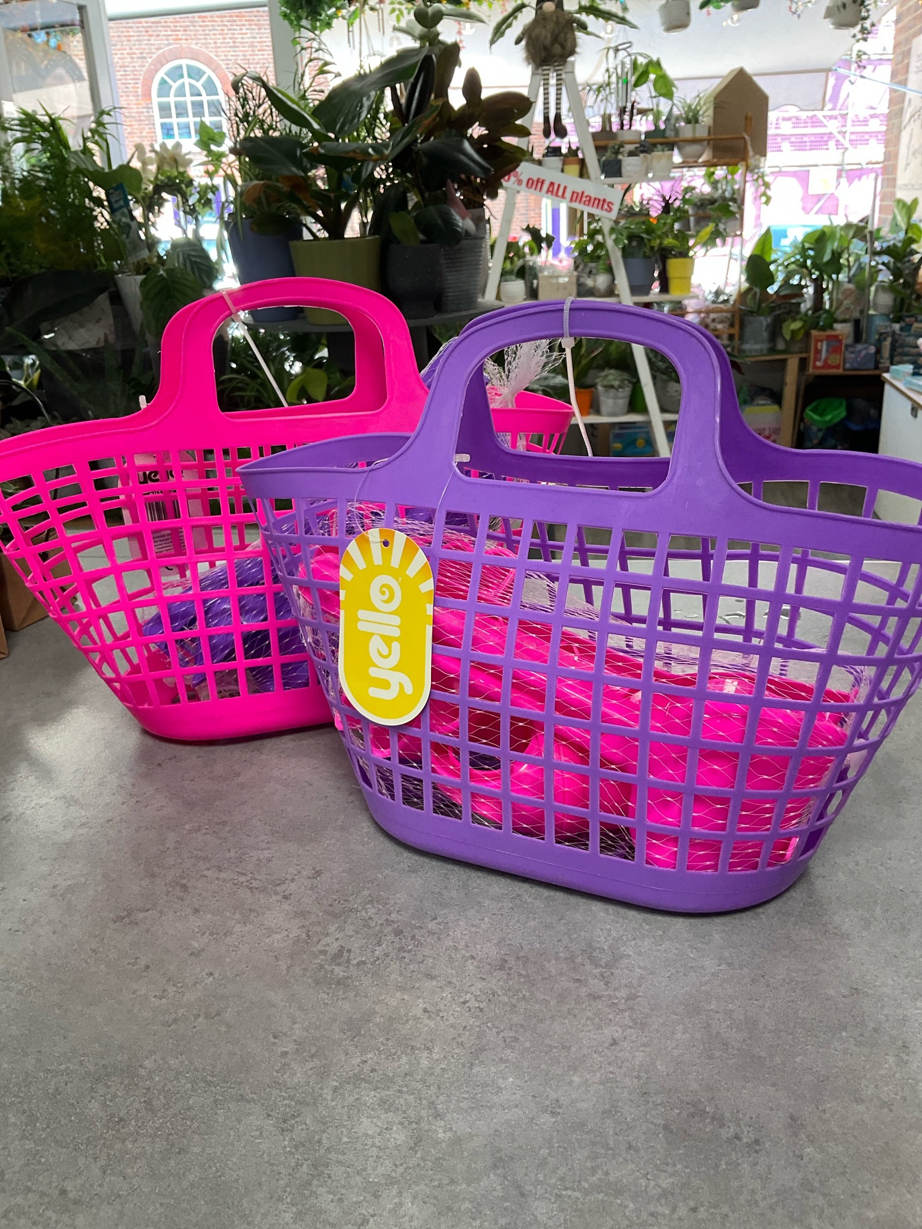 372C7307-6D3F-4E47-A0B8-99F7730CB703.jpeg