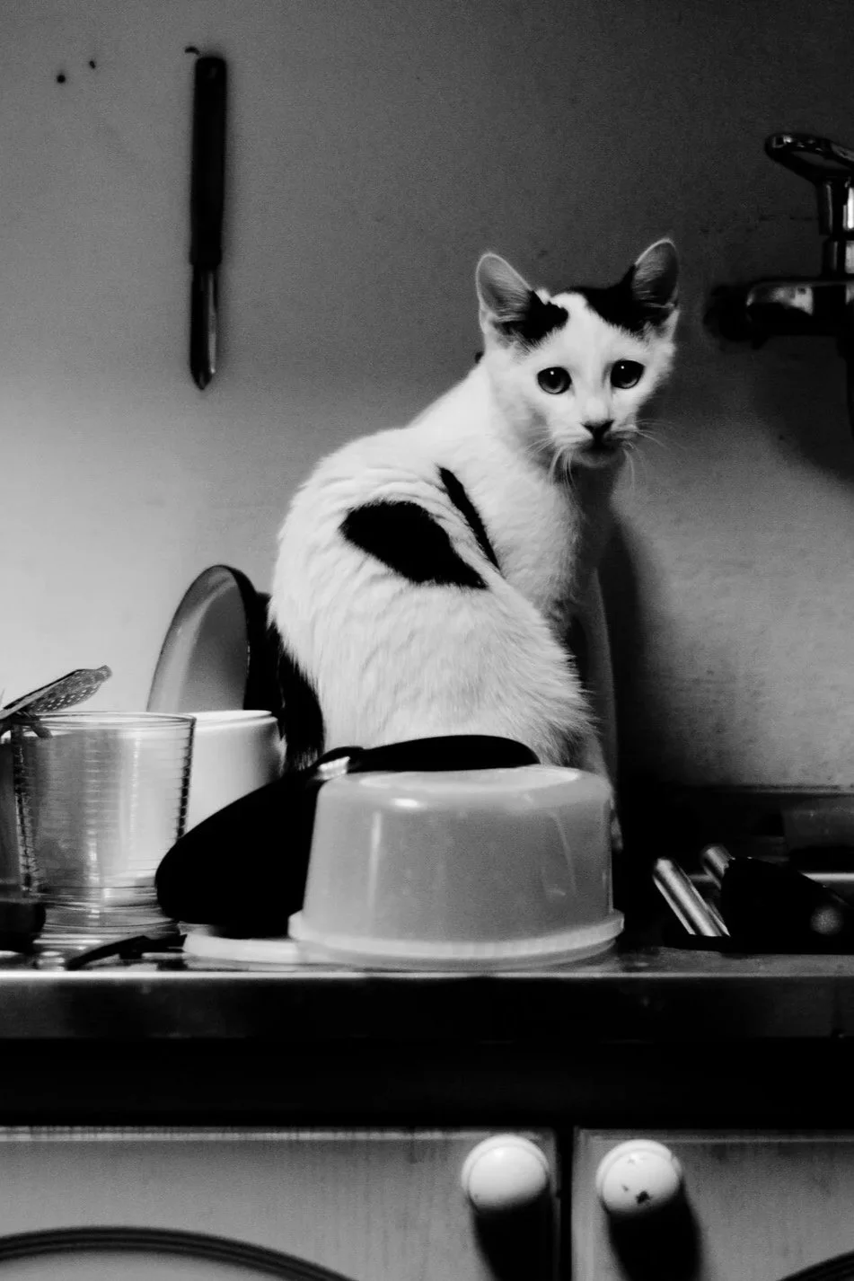 It's Always in the Kitchen (Live)