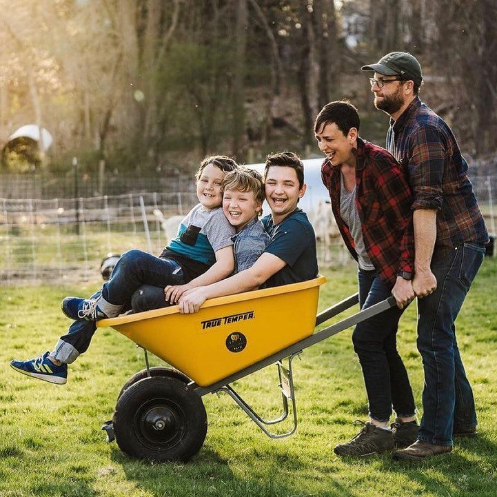 wheelbarrow.jpg