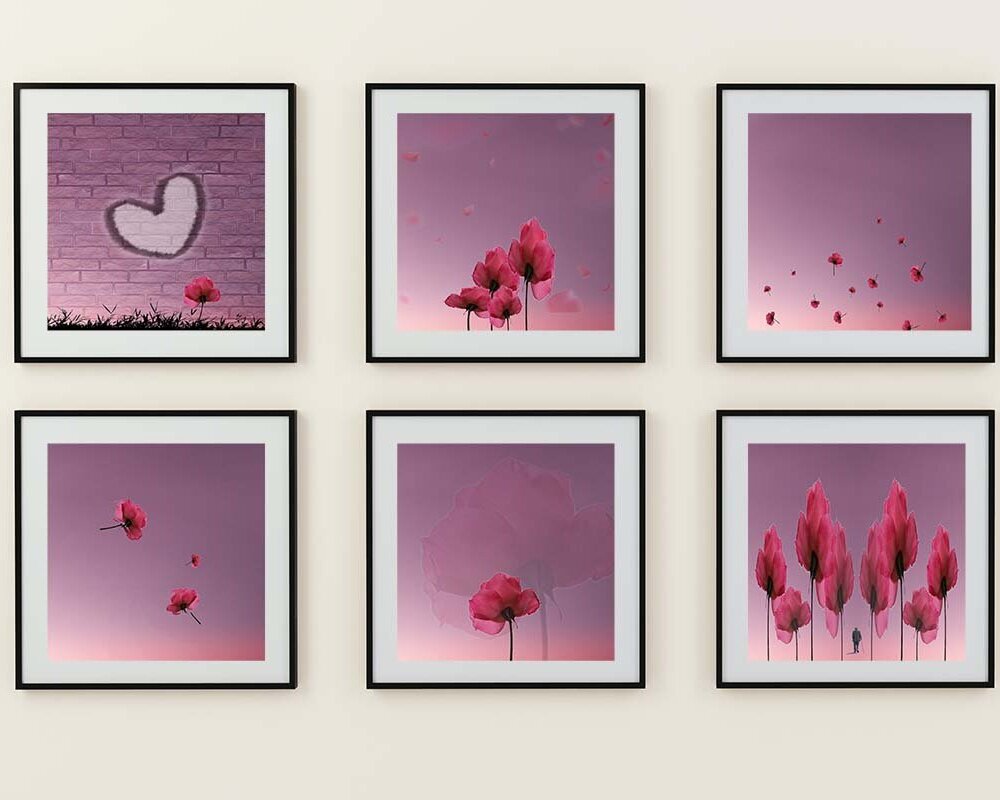 Poster - Kunstdruck - pink - rosa - Rosen