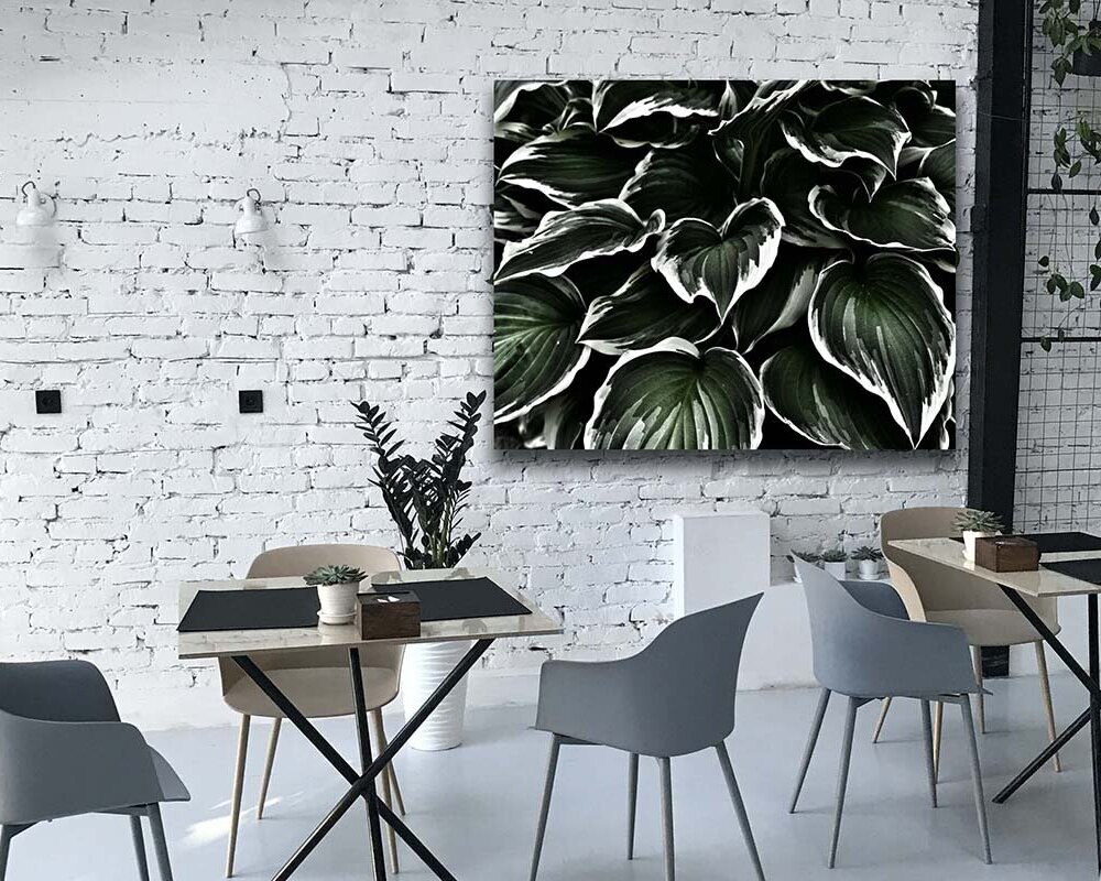 Poster - Kunstdruck - grün weiße Blätter - Funkie