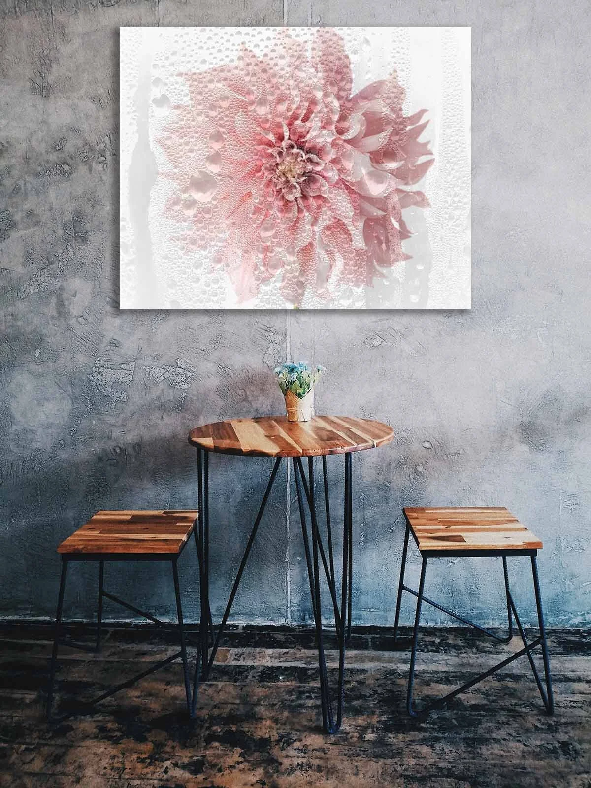 Poster - Kunstdruck - rosa - Aster - Regentropfen