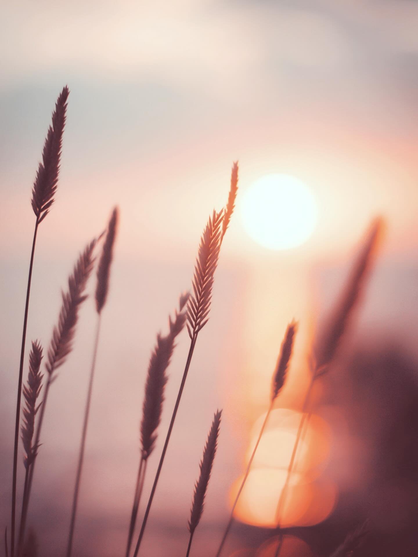 dreamS ✨
.
✨ Discover my mesmerizing world of art! Immerse yourself in captivating art that speaks to your soul. ✨
✨ Find the perfect piece to adorn your walls and evoke
emotion every day. ✨

All images are available as prints.
.
#minimal_perfection 