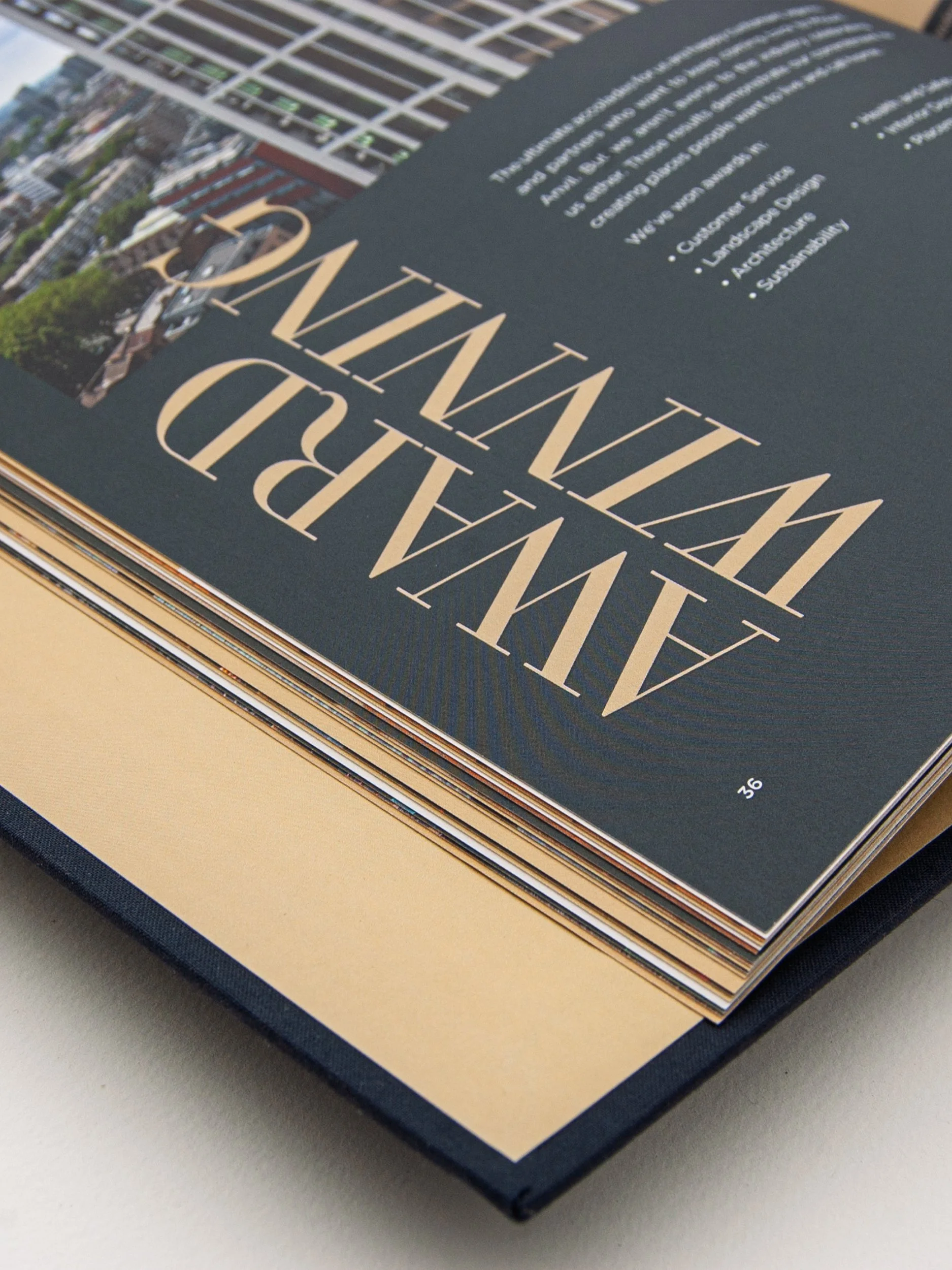 ma portfolio crop 1875x2500.jpg