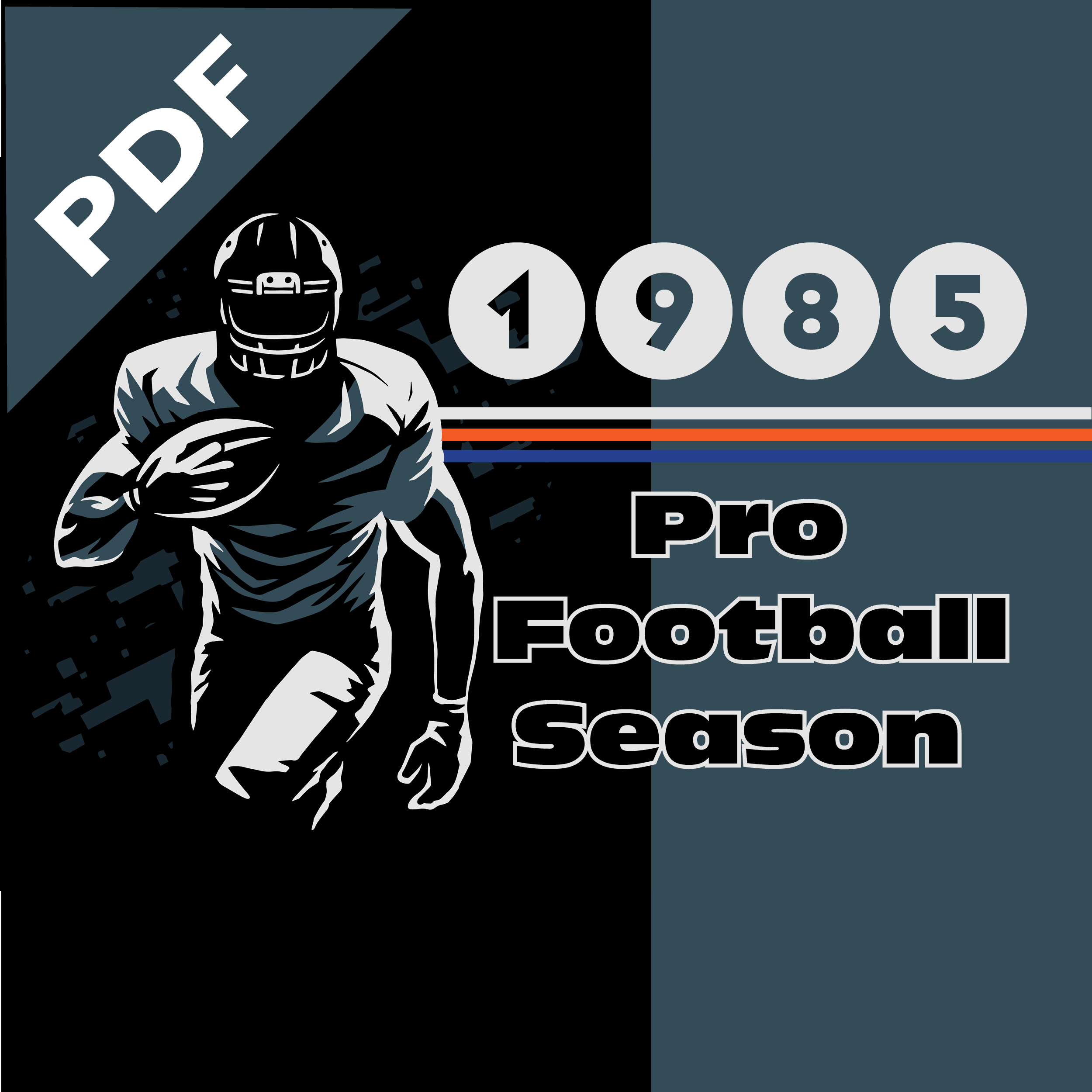 1985 Pro Football Season PDF