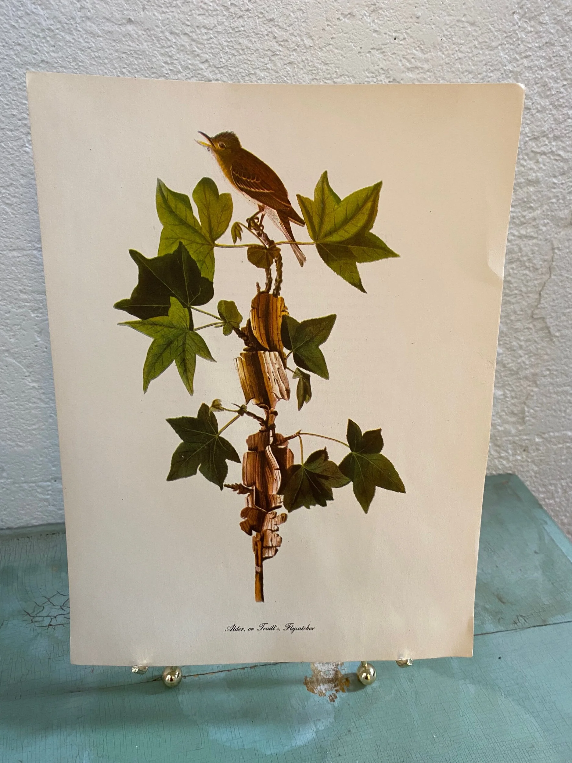 D70925B0-54AA-42CA-9981-2CCBED6AECD0