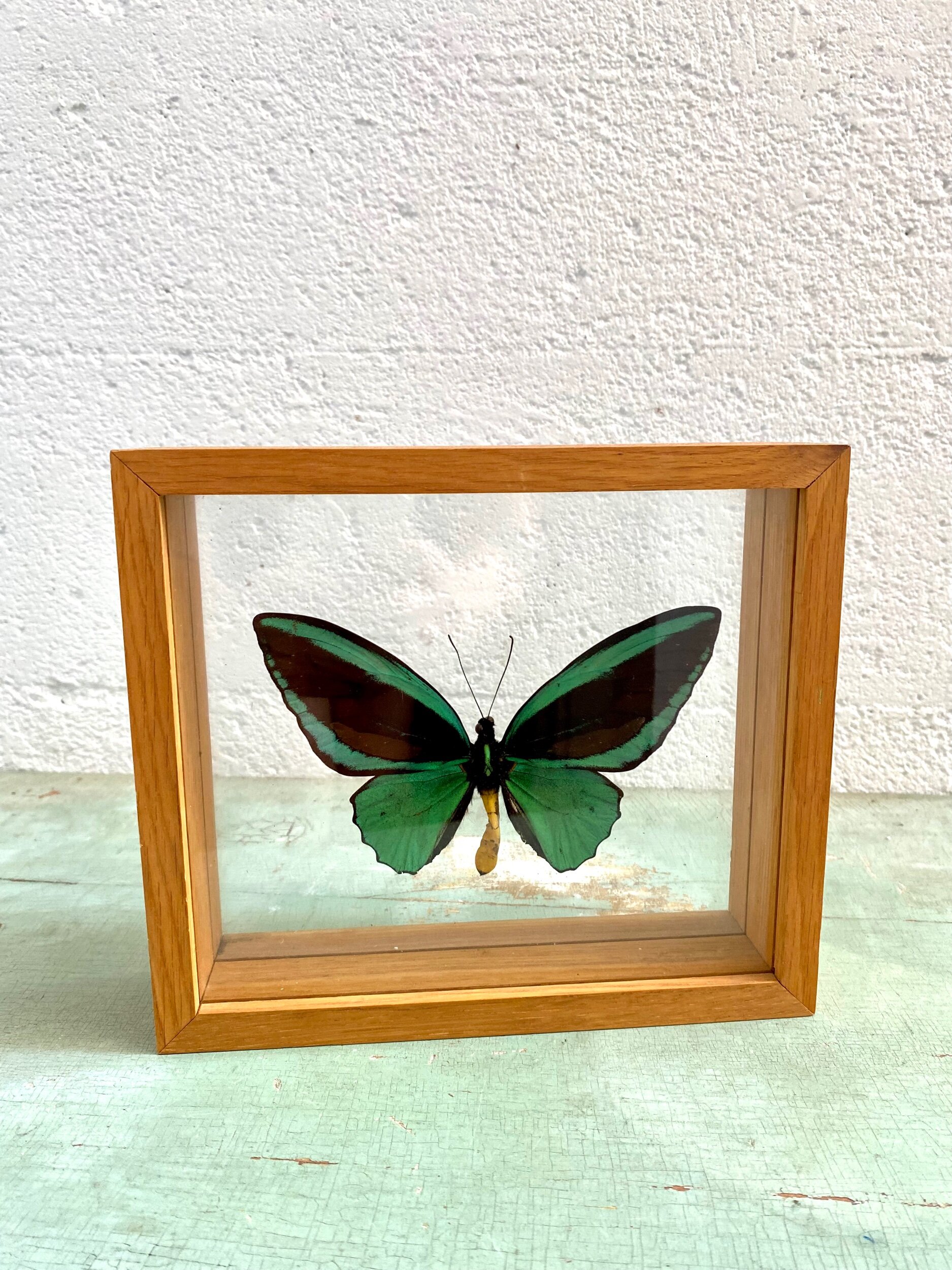 D1905D0F-B949-4393-8AEE-4FC299C92932