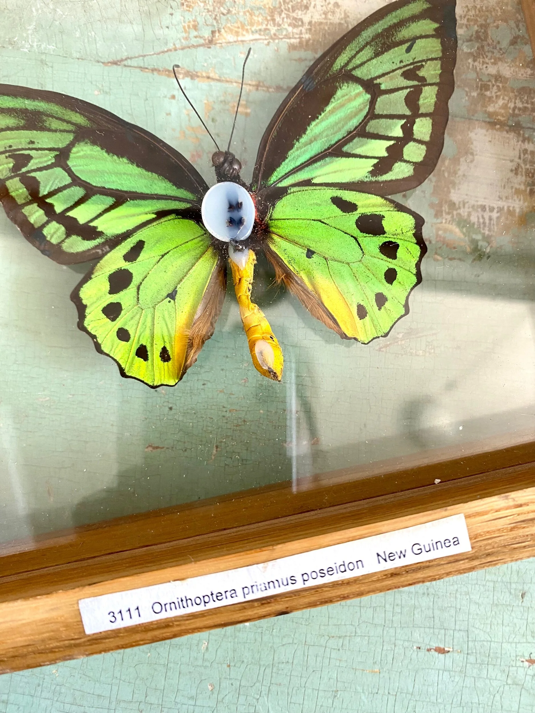 C72CAC21-6EFE-4BBF-A279-1D722E944E69