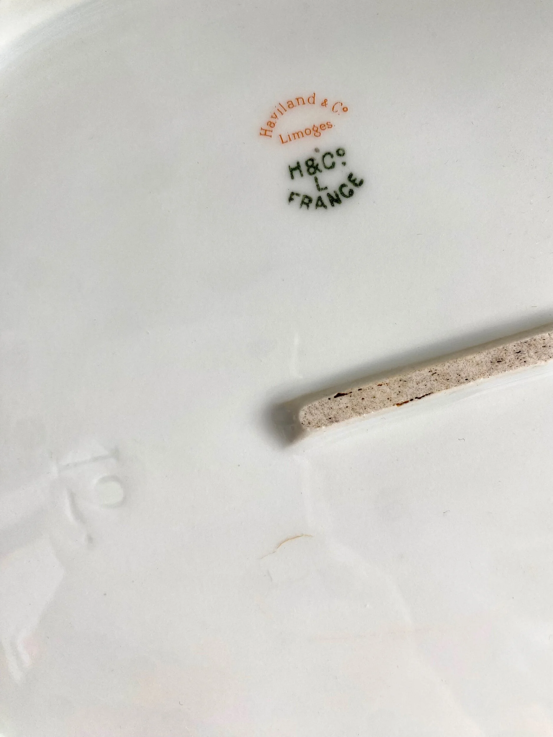 AE17CF07-4FA1-4D2B-BABE-9FEE5AC4EB22