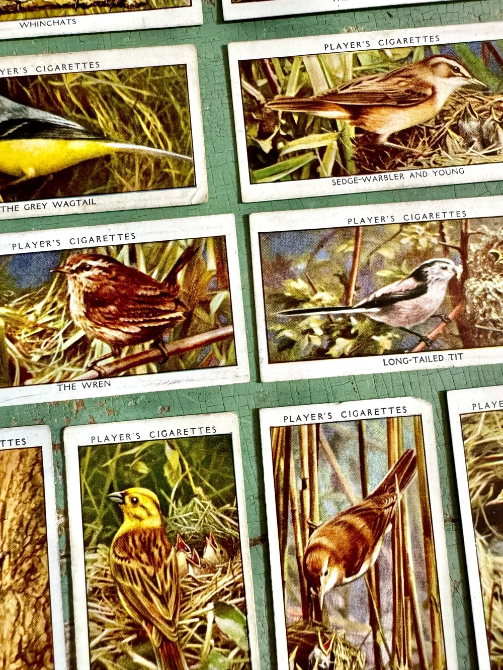 cigarette cards birds Antique 