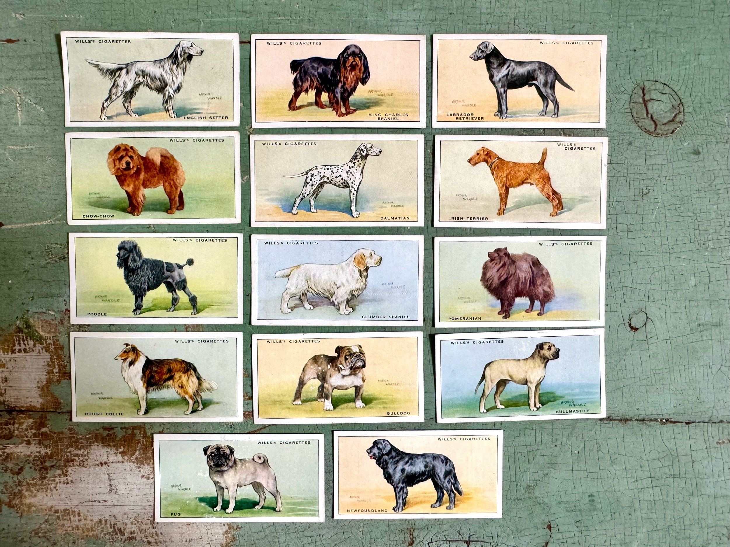 wills cigarette cards dogs Wills's Cigarettes Dog Trading Cards (1937) — Monstera Vintage Decor